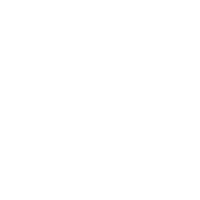 lippo group